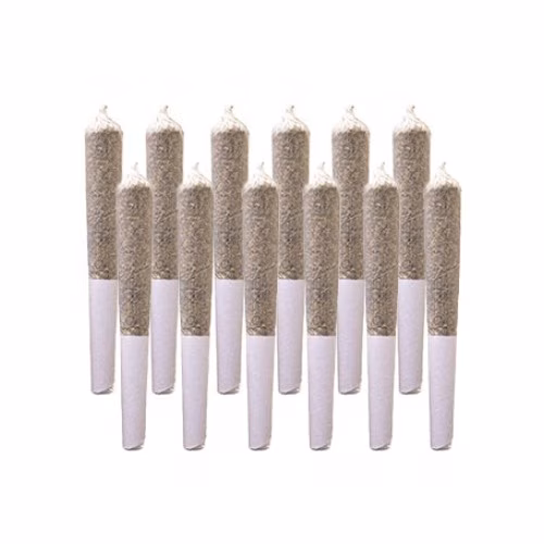 Station House - Pre-Roll Variety Pack