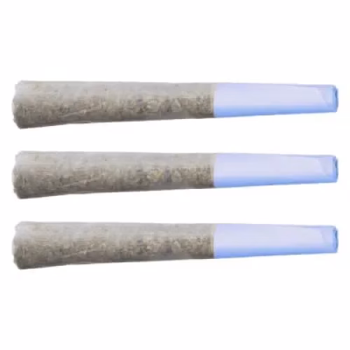 Terp Gush - Blueberry Burst Pre-Rolls