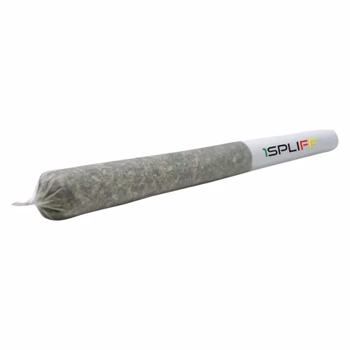 1SPLIFF - Celestial Mega Pack