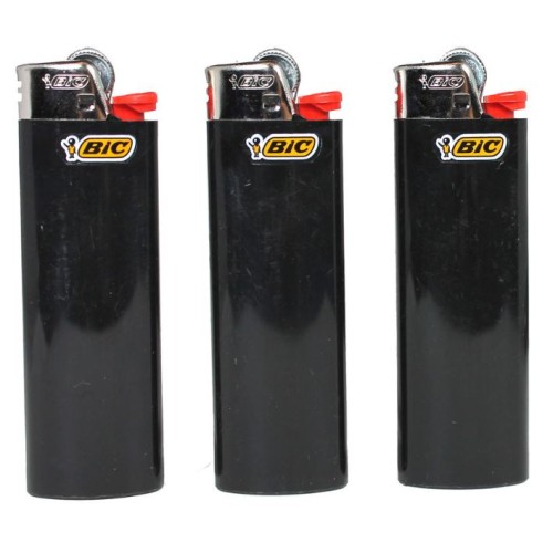 BIC TRAILER PARK BOYS RICKY LIGHTER