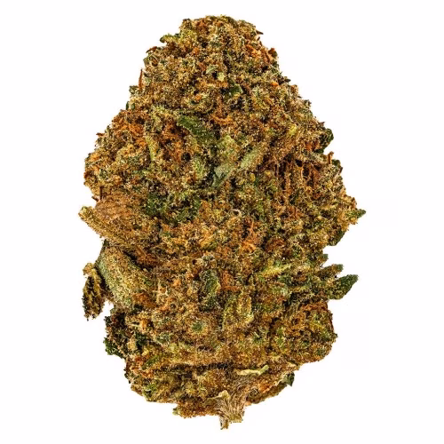 Afghan Kush Flower