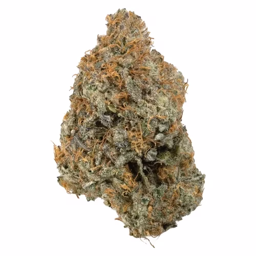 Simply Bare - BC Organic Kraken LTO