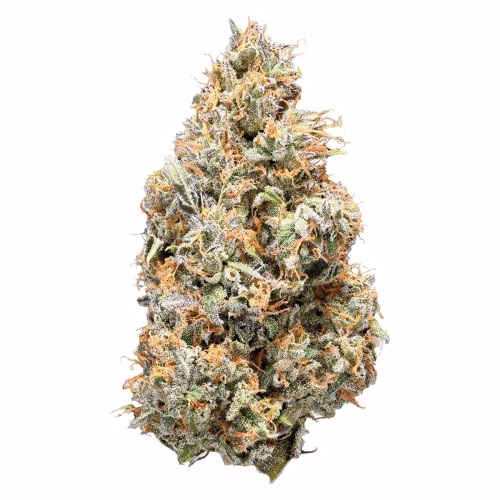 Sativa - Rotational Strain