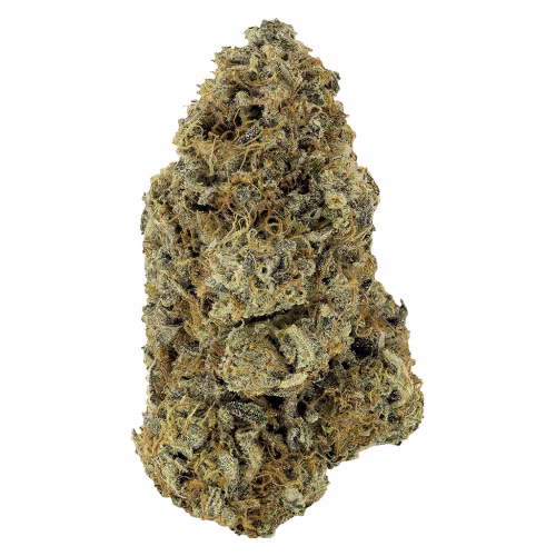 Woody Nelson - Sunset Sherbet Craft Flower