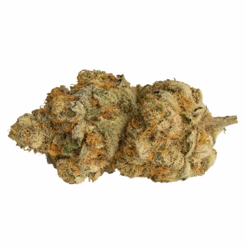 Gage Cannabis Co - Banana Bread