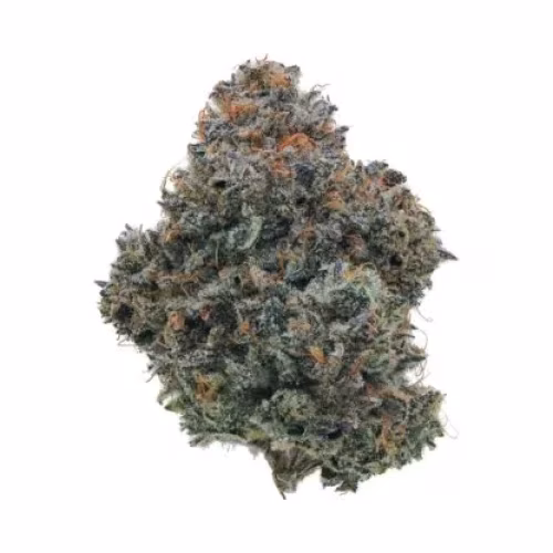 Western Cannabis - Tahiti Treat