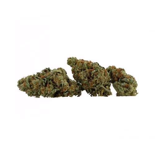 Daily Special - MK Ultra