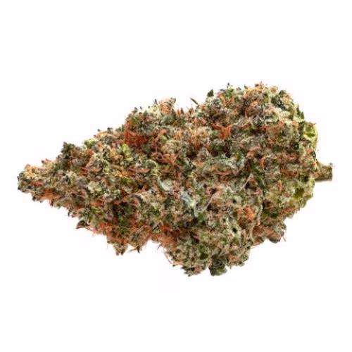 Pure Sunfarms - Neon Lambo