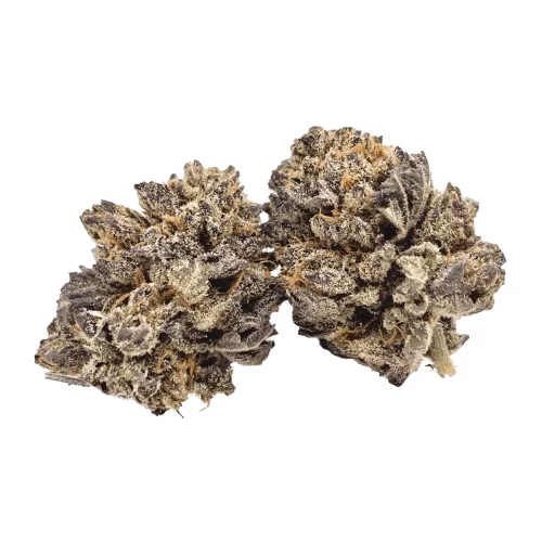 Weed Pool - Purple Parksville Kush
