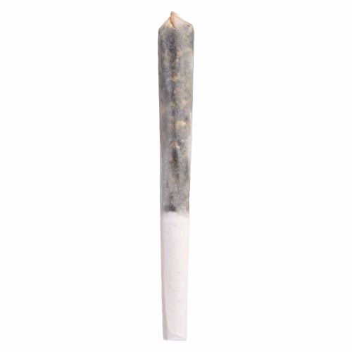 Tenzo - Frosted Pancakes Infused Pre-Roll