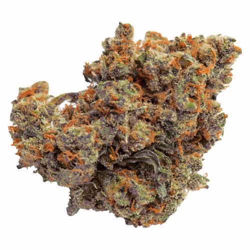 Lazer Jet Craft Whole Flower
