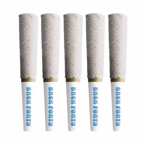 Back Forty - White Freeze Frosted Icicles Infused Pre-Rolls