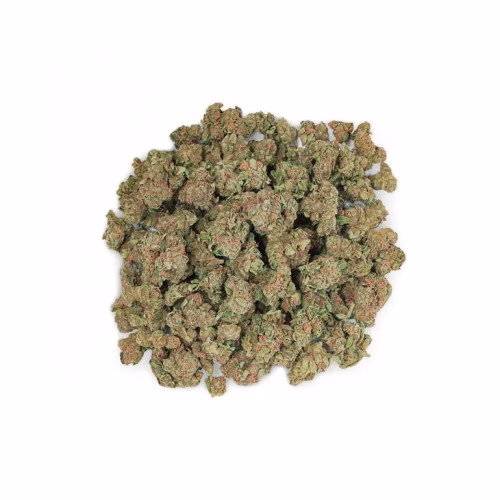 Spinach - Nuggetz by Spinach Sativa