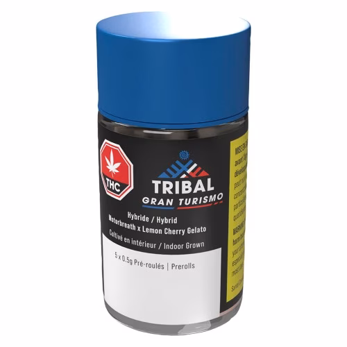 Tribal - Gran Turismo Pre-Roll