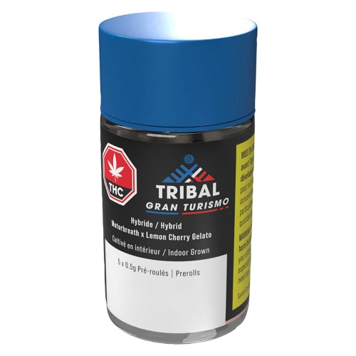 Tribal - Gran Turismo Pre-Roll