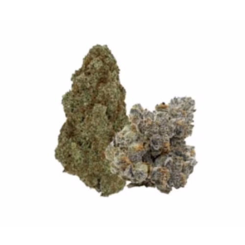Variety Pack LTO