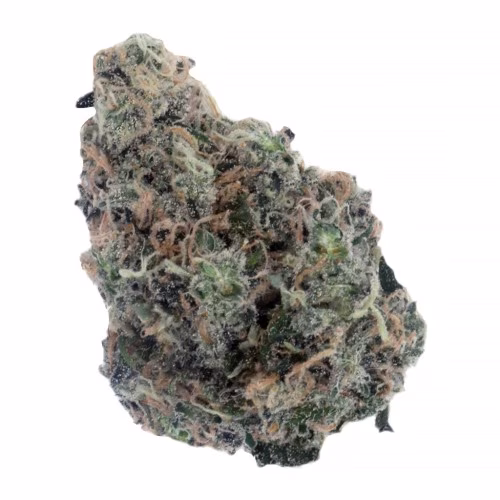 Gorilla Breath