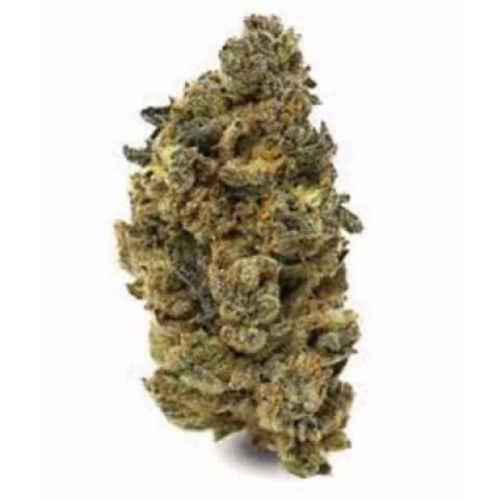 Camper Van Cannabis - Boardwalk Dreams