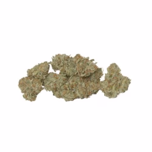 BC Organic Mango Cake