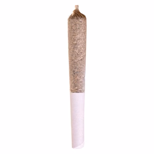Station House - Jack Herer Pre-Roll