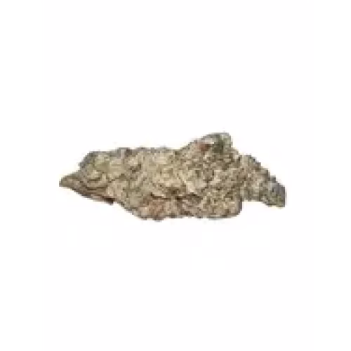 Phant - Tuna Breath