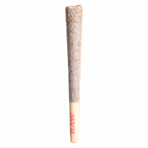 Tenzo - Jokerz Cndy Pre-Roll