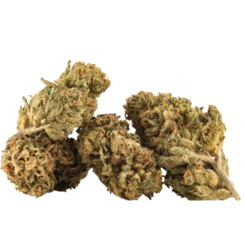 Western Cannabis - Quadzilla Stonesarus Rex