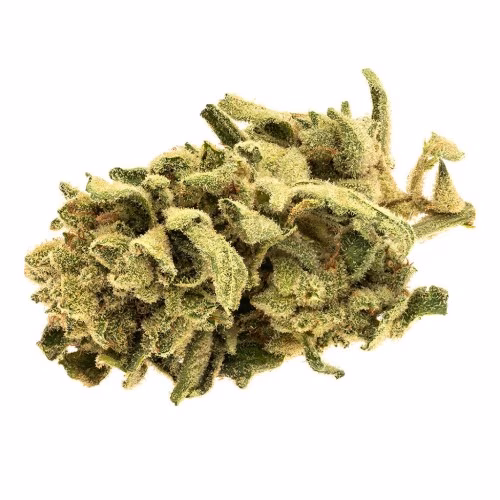 Good Supply - Monkey Glue