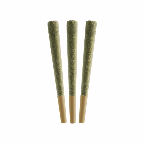 All Nations - STO: Lo Haze Pre-Rolls