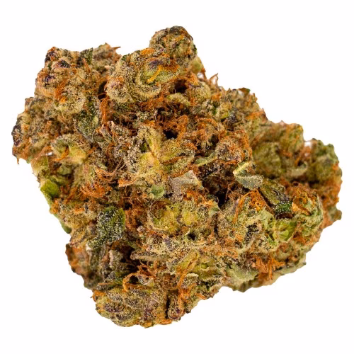 Violet Tourist - Guava Gas Superflower