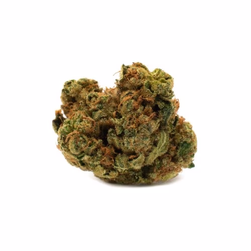 Houseplant - Indica