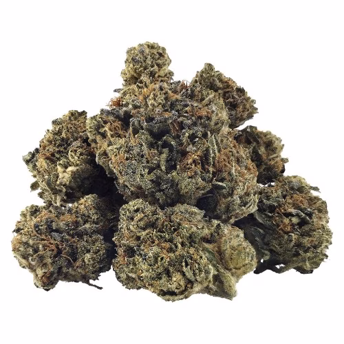 BC Black - Smoker Farms: Master Kush Ultra
