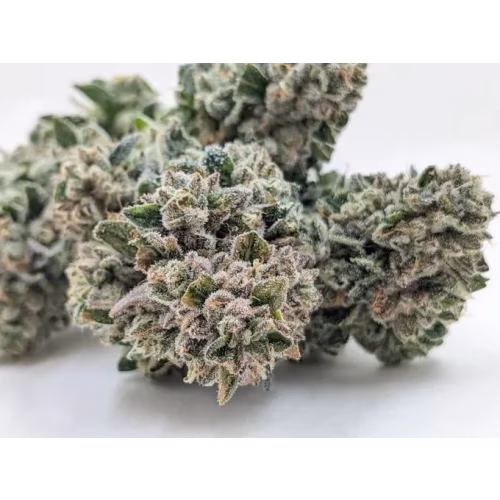North 40 Cannabis - El Gordo