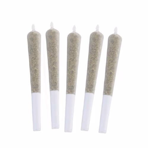 OG DARTS FORT SATIVA PR5x0.3g