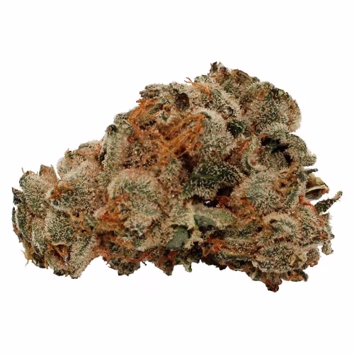 Pure Laine - Original Kush