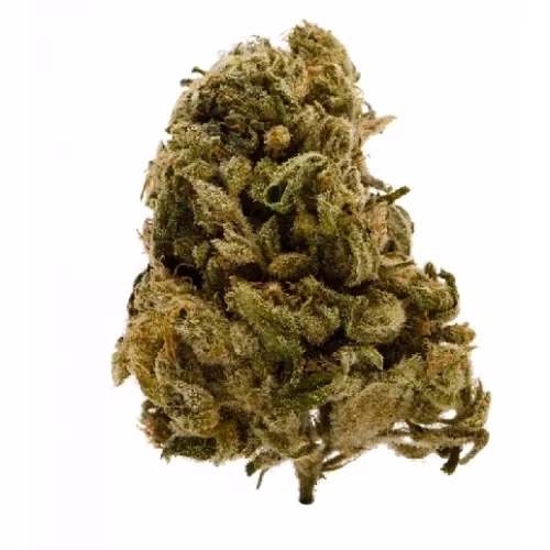 Canna Farms - Canna Bliss