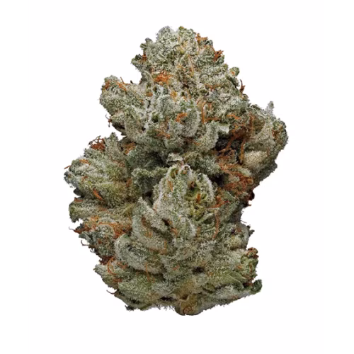 Chocolate Diesel
