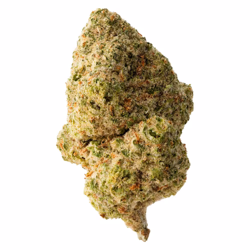 The Loud Plug - Sticky Bunz