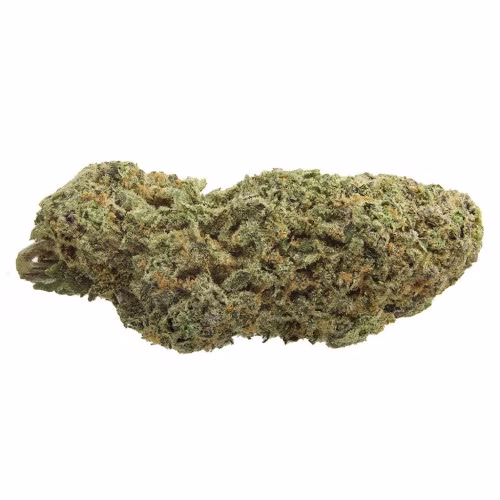 1964 - Organic Sour Cookies