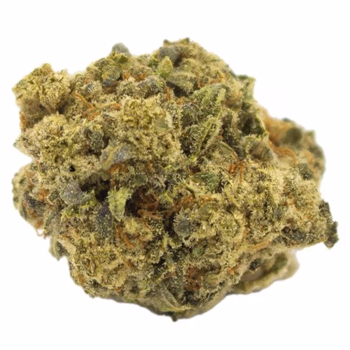 Terp Town Collective - Sherbhead