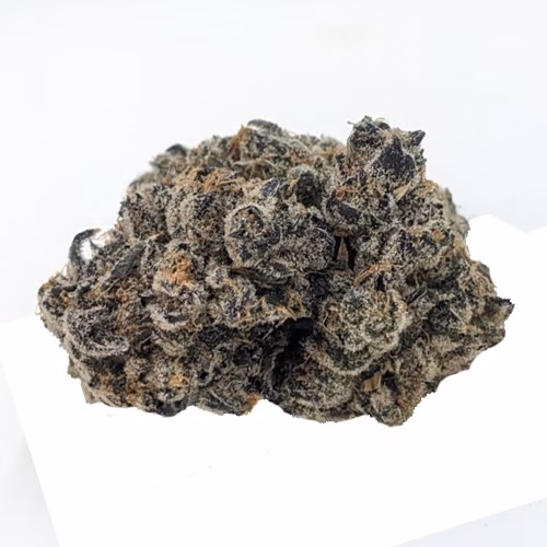 Elevator - Sour Tangie