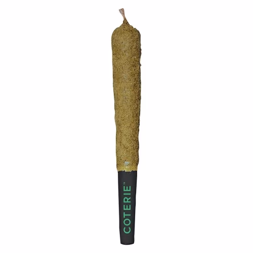 Coterie - Double-Infused Fruity Pebbles Pre-Roll