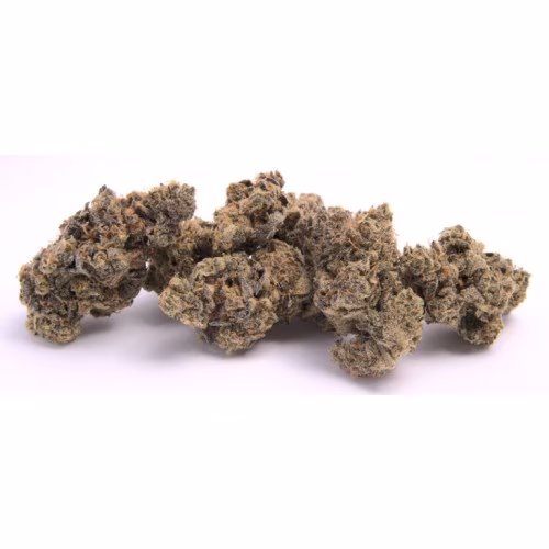 Tier 1 - Mint Choko Chip
