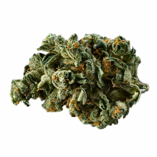 Canaca - Alien Dawg