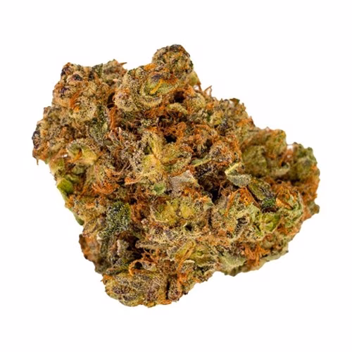 Violet Tourist - Guava Gas Superflower