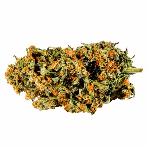 Redecan - Warlock