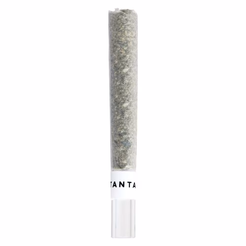 Tantalus Labs - Mai Tai x Zero Gravity Diamond Infused Glass Tip