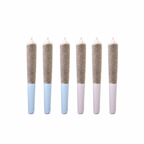 Station House - Variety Pre-Roll (6-pack)