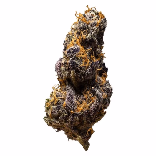 3rd Coast Genetics - Black Cheese