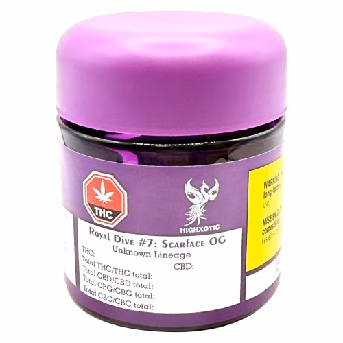 HighXotic - Royal Dive #7: Scarface OG